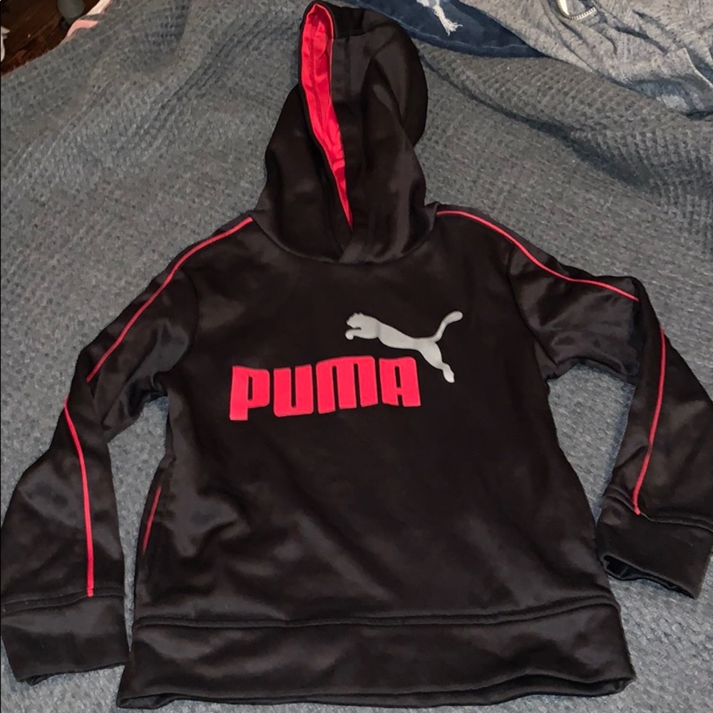 Puma